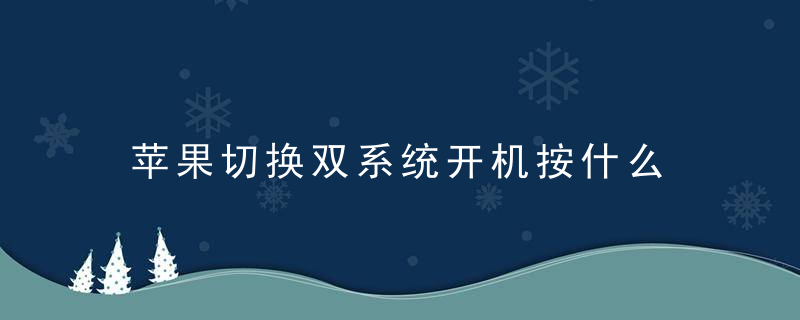 苹果切换双系统开机按什么，苹果切换双系统怎么切换