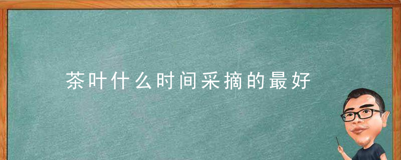 茶叶什么时间采摘的最好