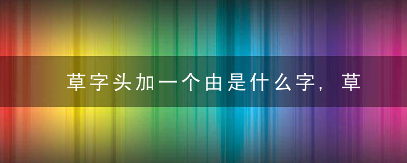 草字头加一个由是什么字,草字头加一个由念什么