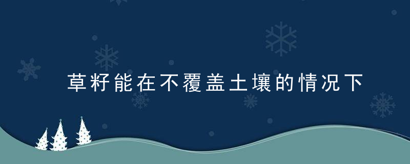 草籽能在不覆盖土壤的情况下发芽吗