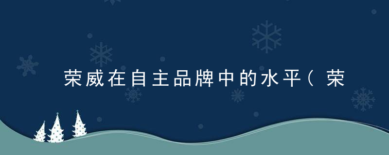 荣威在自主品牌中的水平(荣威是自主品牌吗)