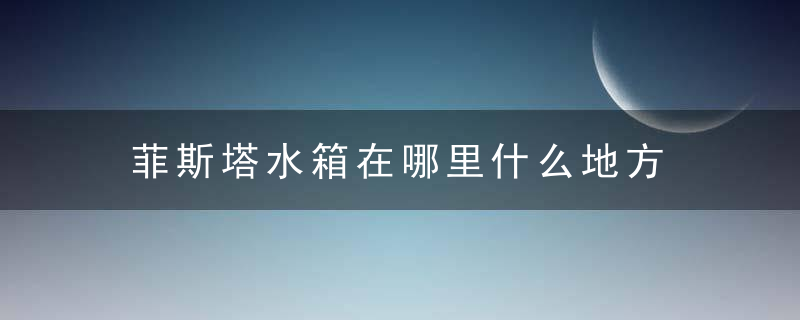 菲斯塔水箱在哪里什么地方