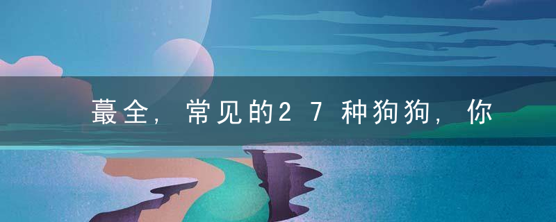 蕞全,常见的27种狗狗,你认识几种
