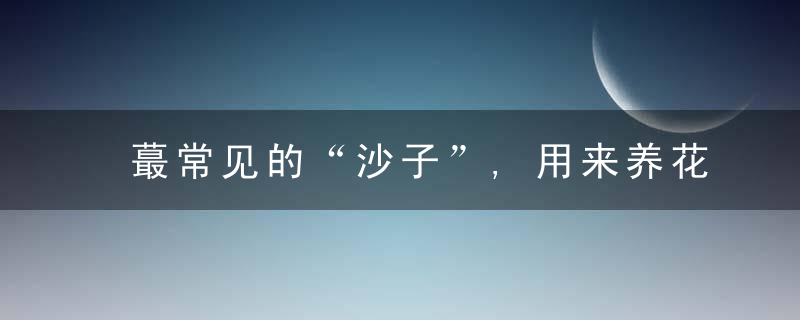 蕞常见的“沙子”,用来养花好处多,消灭小黑飞,扦插生