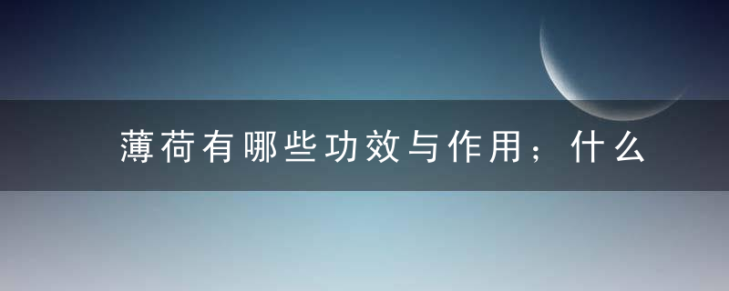 薄荷有哪些功效与作用；什么是薄荷；薄荷的使用价值有哪些；薄荷如何进行栽培