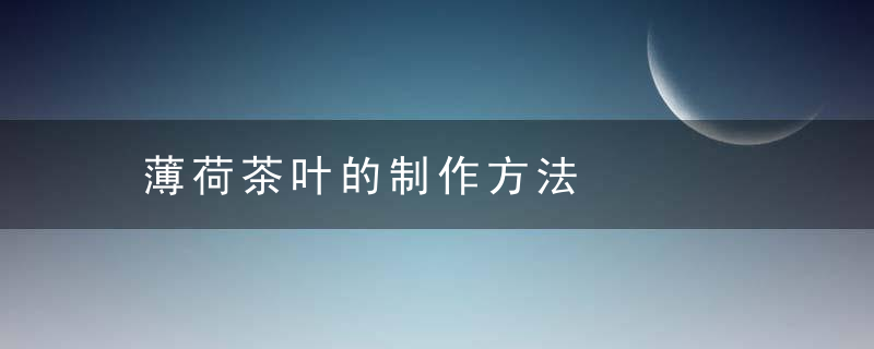 薄荷茶叶的制作方法