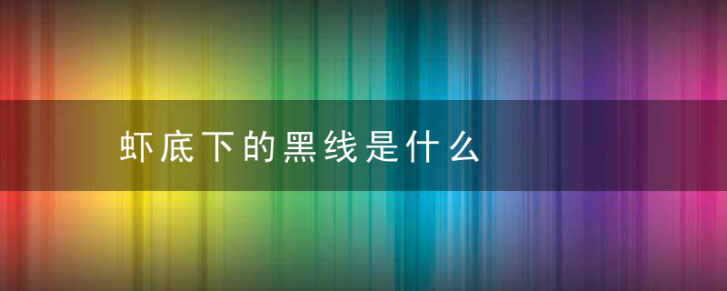 虾底下的黑线是什么