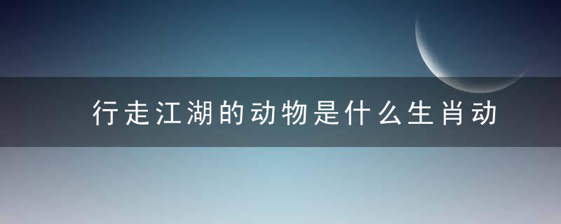 行走江湖的动物是什么生肖动物（讲南宁新闻疫情防控新闻发布会）