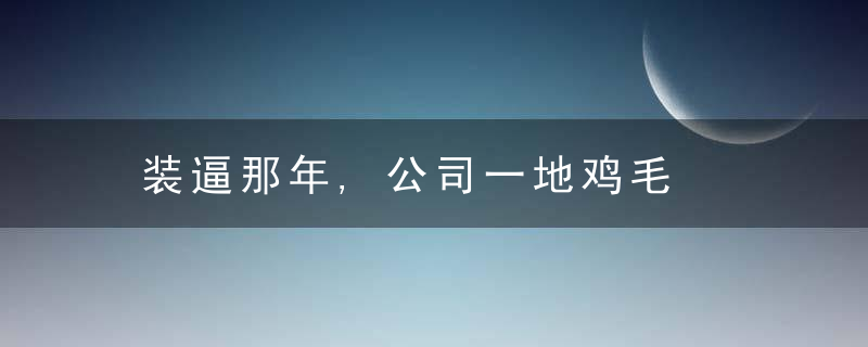 装逼那年,公司一地鸡毛
