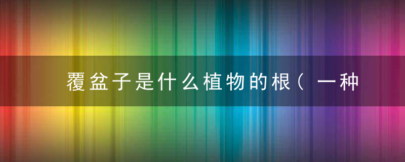 覆盆子是什么植物的根(一种蔷薇科植物)