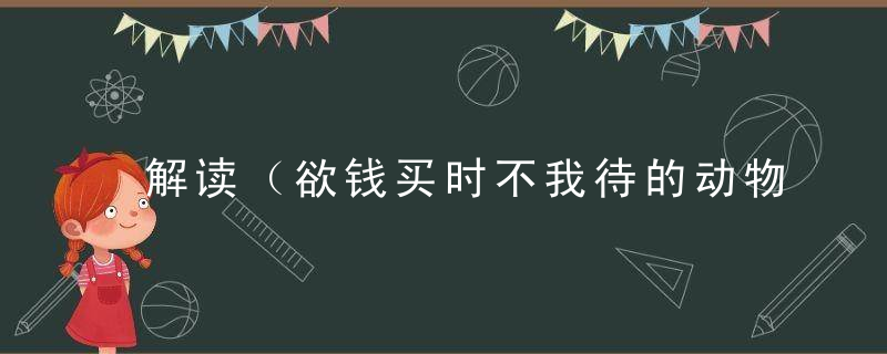 解读（欲钱买时不我待的动物）是什么生肖指什么含义