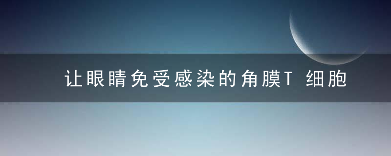 让眼睛免受感染的角膜T细胞被发现