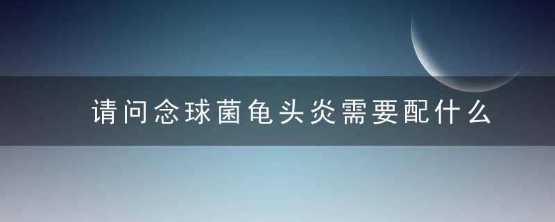 请问念球菌龟头炎需要配什么药内服阿莫西林可以吗