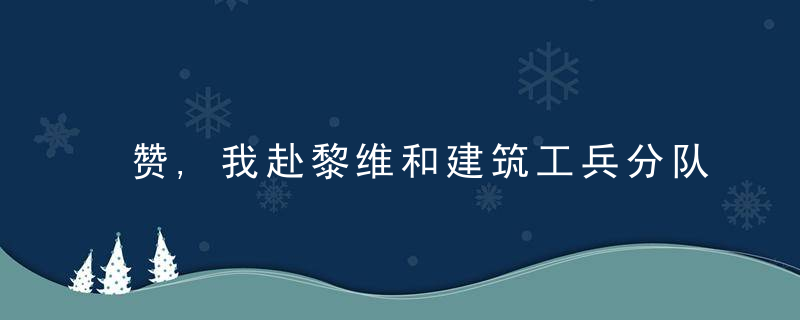 赞,我赴黎维和建筑工兵分队高标准完成道路排水系统修缮