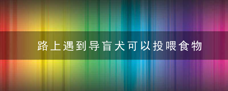 路上遇到导盲犬可以投喂食物和抚摸吗 路上遇到导盲犬能投喂食物与抚摸吗