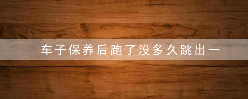 车子保养后跑了没多久跳出一个扳手样子的灯,是什么意思