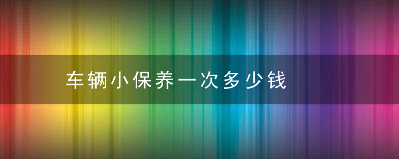 车辆小保养一次多少钱