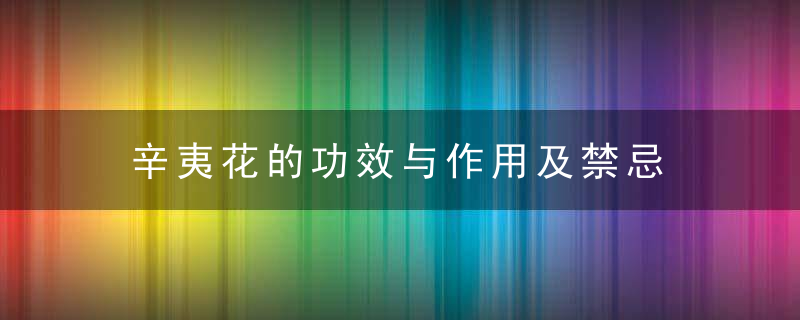 辛夷花的功效与作用及禁忌