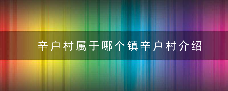 辛户村属于哪个镇辛户村介绍，辛户村属于哪个社区