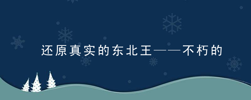 还原真实的东北王——不朽的传奇张作霖