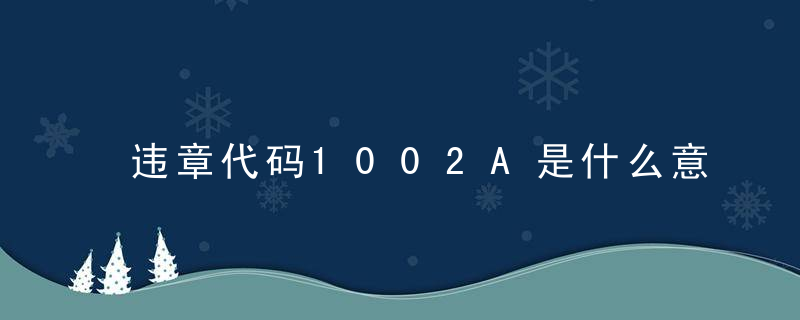 违章代码1002A是什么意思