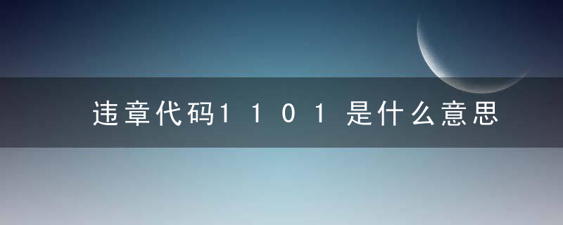 违章代码1101是什么意思