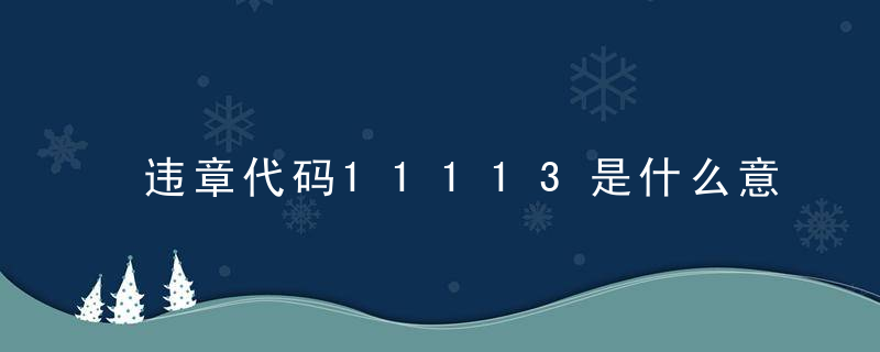 违章代码11113是什么意思