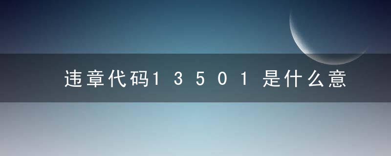 违章代码13501是什么意思