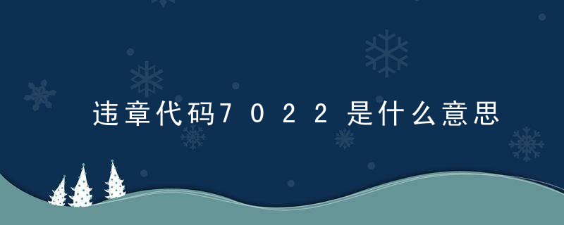 违章代码7022是什么意思