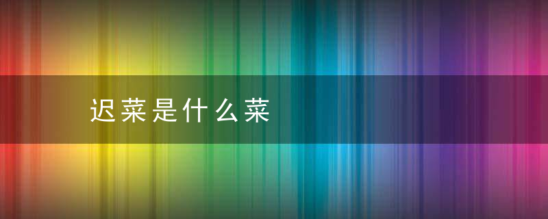 迟菜是什么菜
