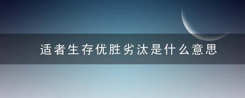 适者生存优胜劣汰是什么意思