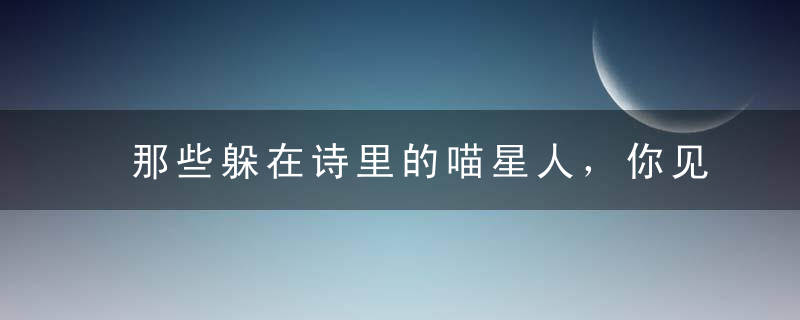 那些躲在诗里的喵星人，你见过几只