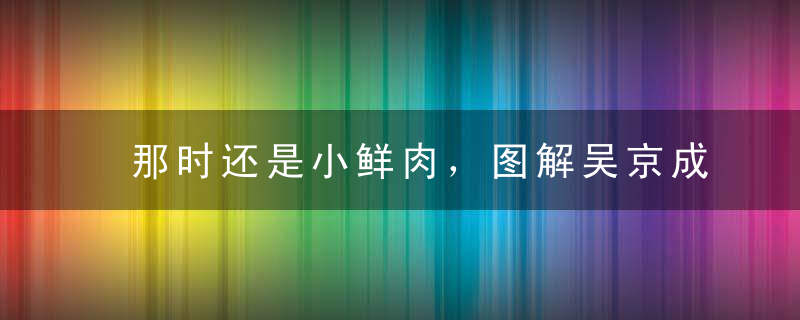 那时还是小鲜肉，图解吴京成名作《太极宗师》