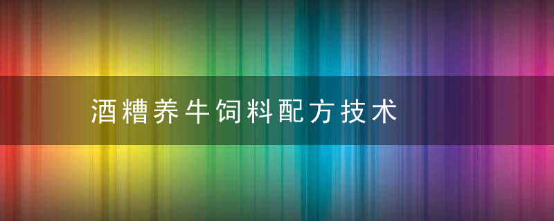 酒糟养牛饲料配方技术