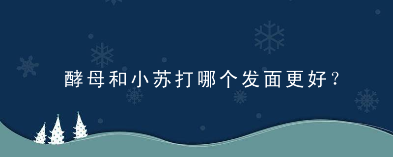 酵母和小苏打哪个发面更好？告诉你真相