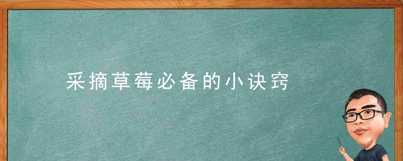 采摘草莓必备的小诀窍，草莓什么采摘