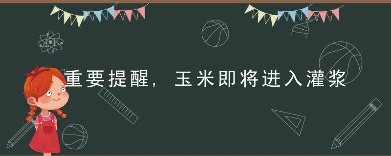 重要提醒,玉米即将进入灌浆期,怎么管理想高产,就得