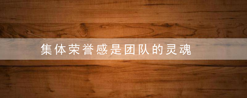集体荣誉感是团队的灵魂