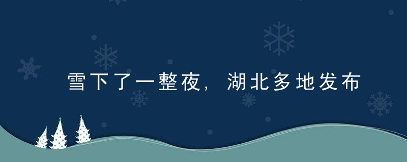 雪下了一整夜,湖北多地发布暴雪预警