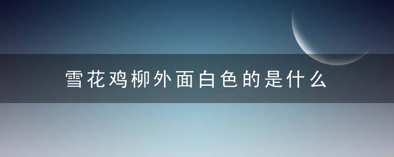 雪花鸡柳外面白色的是什么