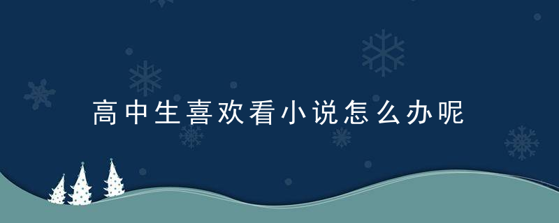 高中生喜欢看小说怎么办呢