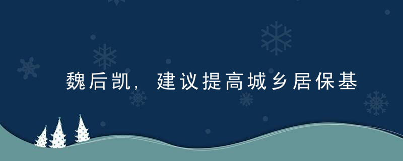 魏后凯,建议提高城乡居保基础养老金可以标准和统筹层次