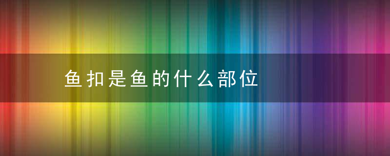 鱼扣是鱼的什么部位