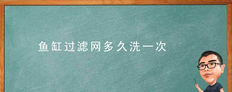 鱼缸过滤网多久洗一次