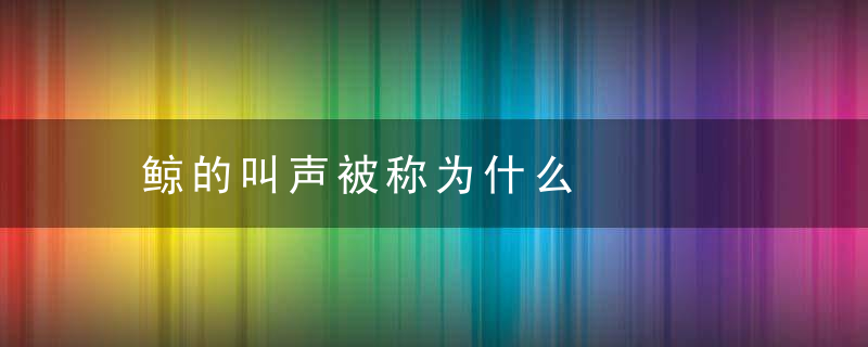 鲸的叫声被称为什么