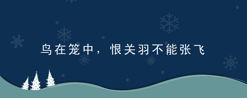 鸟在笼中，恨关羽不能张飞