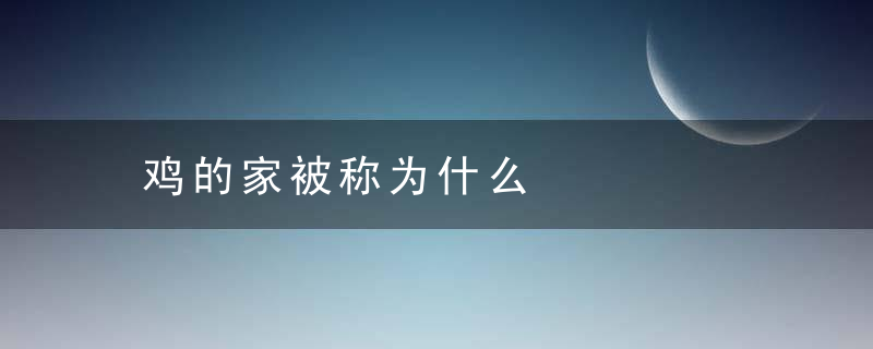 鸡的家被称为什么