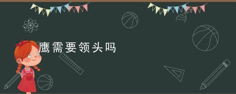 鹰需要领头吗