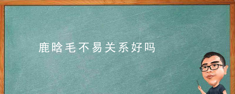 鹿晗毛不易关系好吗