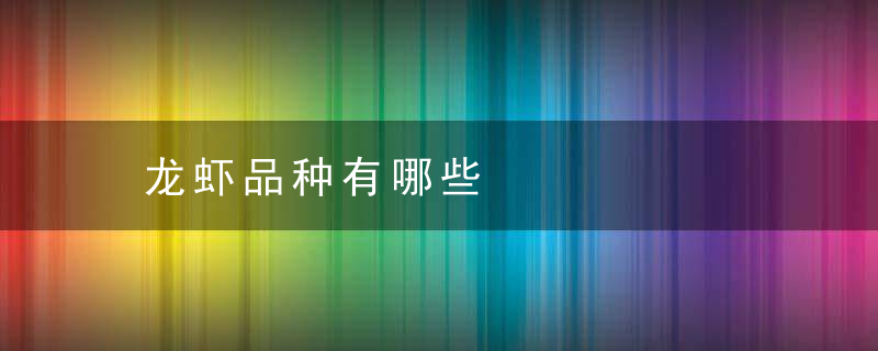 龙虾品种有哪些